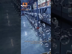 Hanging Conveyor System