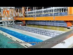 Fully Automatic Immersion Coating Line High Capacity Adjustable Coating Thickness