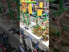 Electroplating Oxidation Production Line